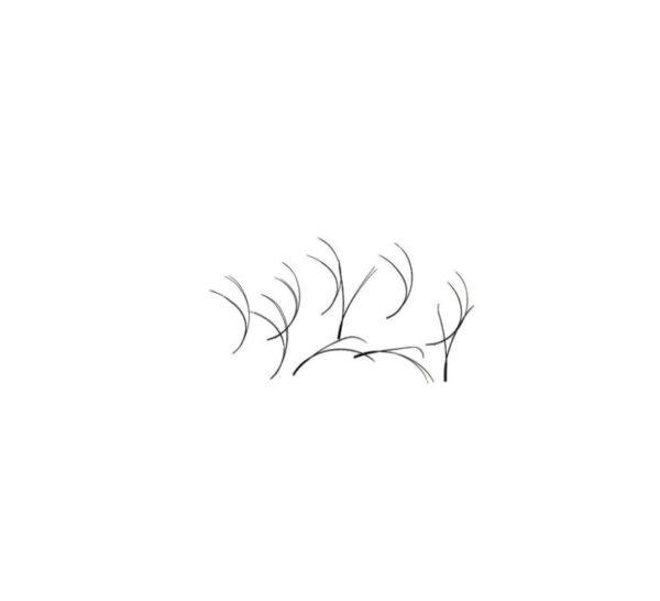 Pestañas Tecnológicas Hybrid Easy Lash 4D